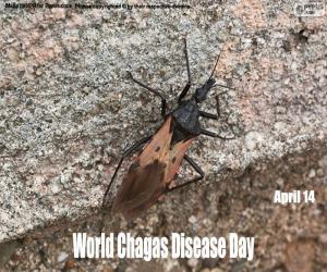 yapboz Dünya Chagas Hastalık Günü